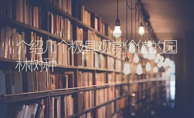 介绍几个极具观赏价值的园林树种 | 养殖技术大全