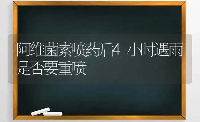 阿维菌素喷药后4小时遇雨是否要重喷 | 养殖知识