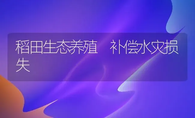 稻田生态养殖 补偿水灾损失 | 养殖技术大全