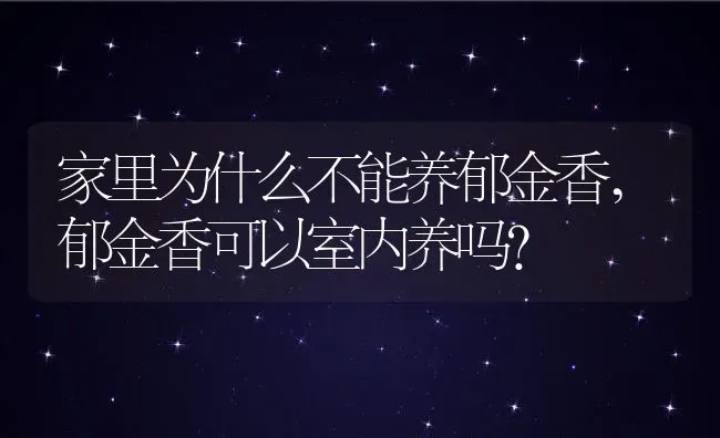 家里为什么不能养郁金香,郁金香可以室内养吗？ | 养殖科普