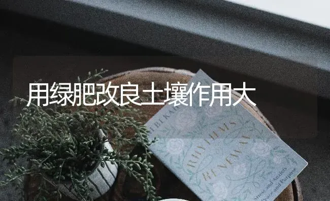 用绿肥改良土壤作用大 | 养殖知识