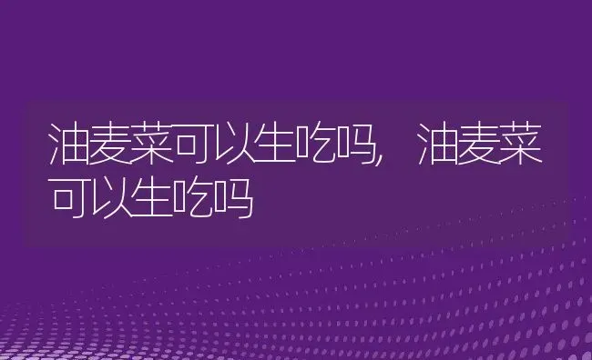 油麦菜可以生吃吗,油麦菜可以生吃吗 | 养殖科普