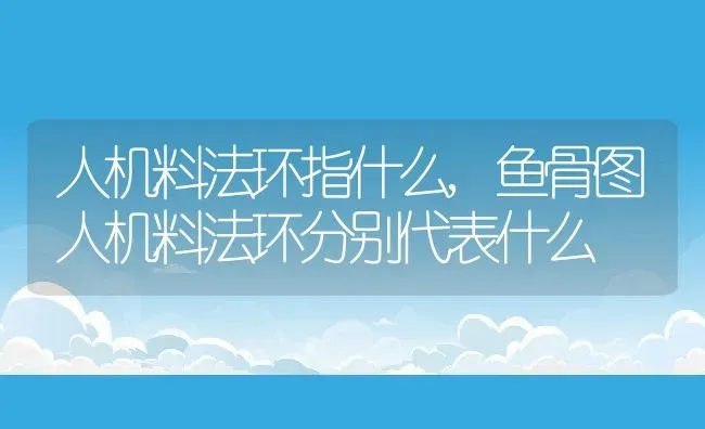 人机料法环指什么,鱼骨图人机料法环分别代表什么 | 养殖学堂