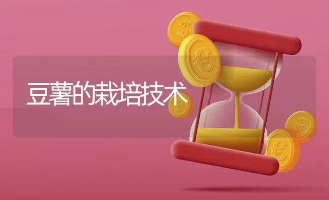 豆薯的栽培技术 | 养殖知识