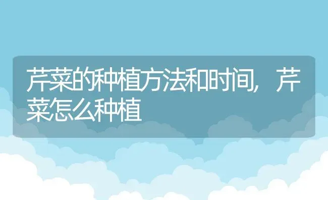 芹菜的种植方法和时间,芹菜怎么种植 | 养殖学堂