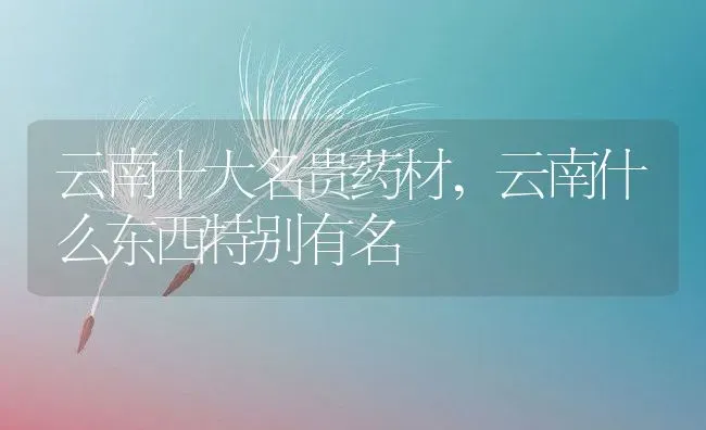 云南十大名贵药材,云南什么东西特别有名 | 养殖学堂