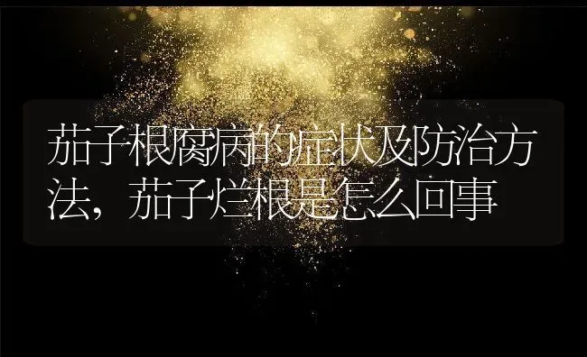 茄子根腐病的症状及防治方法,茄子烂根是怎么回事 | 养殖学堂