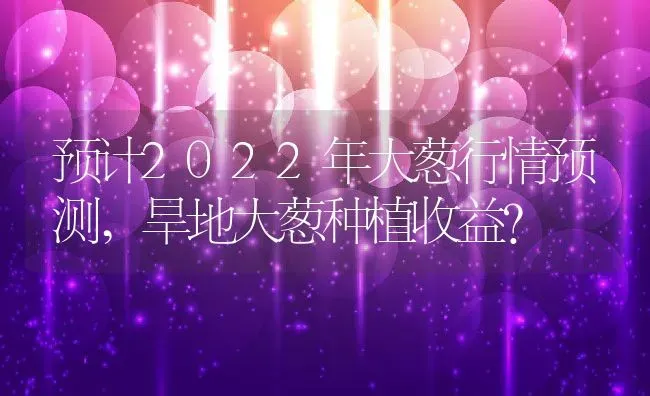 预计2022年大葱行情预测,旱地大葱种植收益？ | 养殖科普