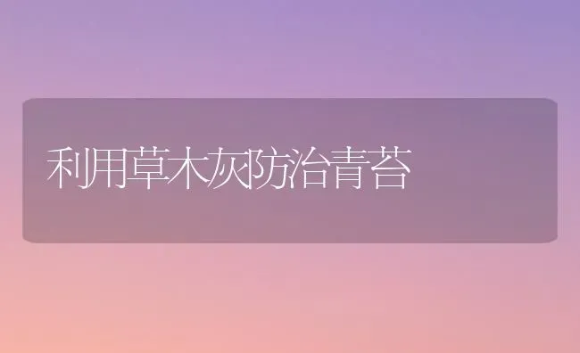 利用草木灰防治青苔 | 养殖技术大全