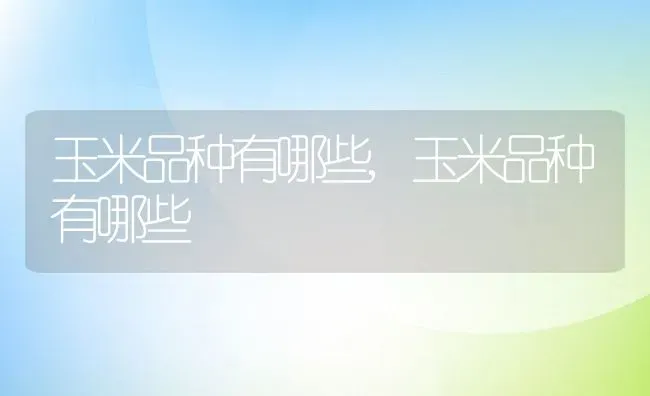 玉米品种有哪些,玉米品种有哪些 | 养殖学堂