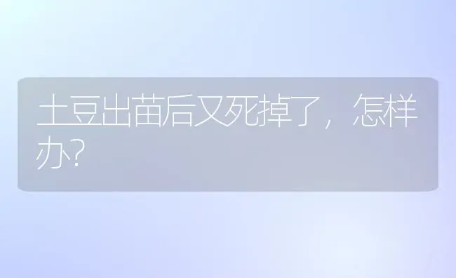 土豆出苗后又死掉了,怎样办? | 养殖知识