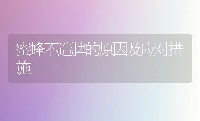 蜜蜂不造脾的原因及应对措施 | 养殖技术大全