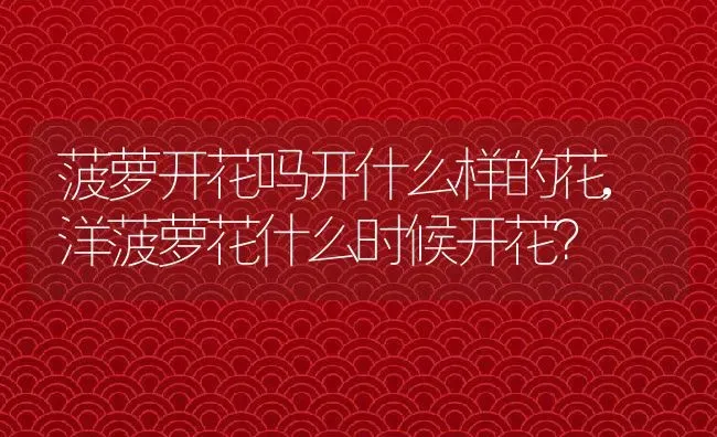 菠萝开花吗开什么样的花,洋菠萝花什么时候开花？ | 养殖科普