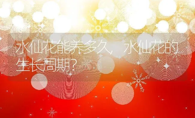 水仙花能养多久,水仙花的生长周期？ | 养殖科普