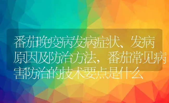 番茄晚疫病发病症状、发病原因及防治方法,番茄常见病害防治的技术要点是什么 | 养殖学堂