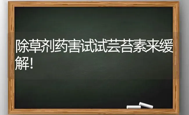 除草剂药害试试芸苔素来缓解！ | 养殖技术大全