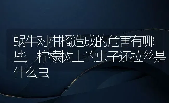 蜗牛对柑橘造成的危害有哪些,柠檬树上的虫子还拉丝是什么虫 | 养殖学堂