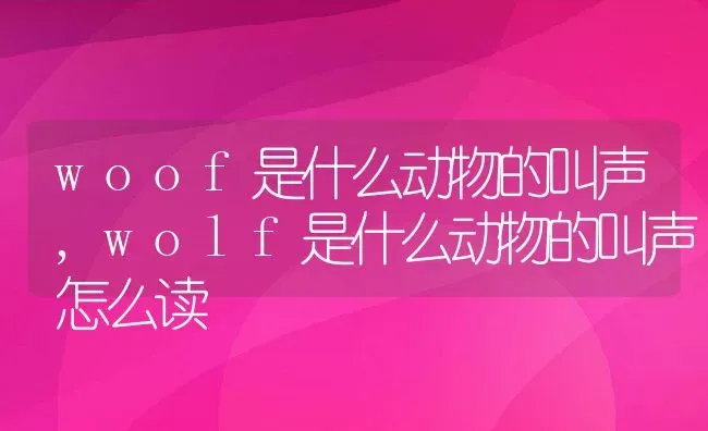 woof是什么动物的叫声,wolf是什么动物的叫声怎么读 | 养殖科普