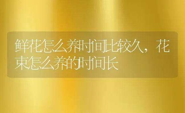 鲜花怎么养时间比较久,花束怎么养的时间长 | 养殖学堂