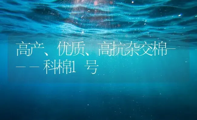 高产、优质、高抗杂交棉---科棉1号 | 养殖技术大全
