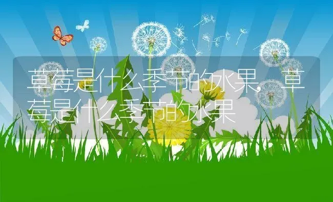 黄金香柳养殖方法和注意事项,黄金香柳养殖方法和注意事项 | 养殖科普
