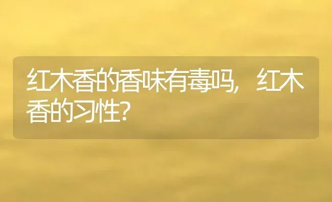 红木香的香味有毒吗,红木香的习性？ | 养殖科普