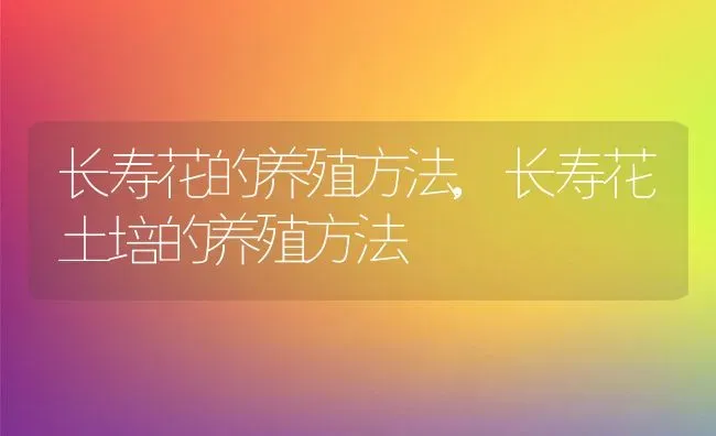 长寿花的养殖方法,长寿花土培的养殖方法 | 养殖学堂