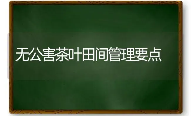 无公害茶叶田间管理要点 | 养殖技术大全