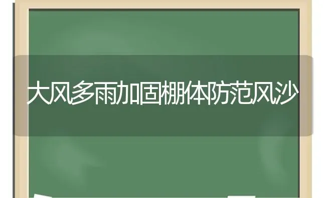 大风多雨加固棚体防范风沙 | 养殖技术大全