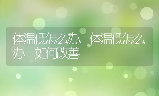 体温低怎么办,体温低怎么办 如何改善 | 养殖科普