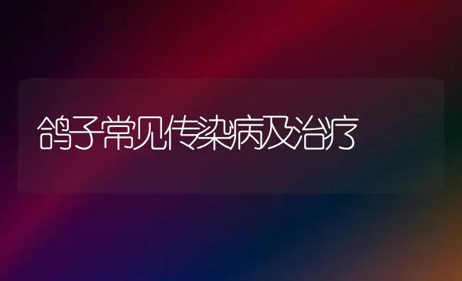 鸽子常见传染病及治疗 | 养殖技术大全