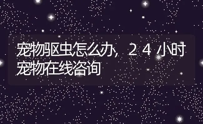 宠物驱虫怎么办,24小时宠物在线咨询 | 养殖科普