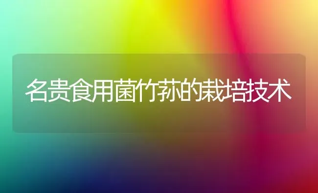名贵食用菌竹荪的栽培技术 | 养殖技术大全