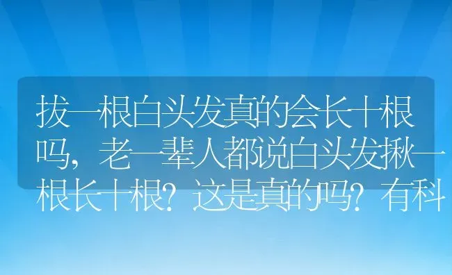 拔一根白头发真的会长十根吗,老一辈人都说白头发揪一根长十根？这是真的吗？有科学理据吗？ | 养殖科普