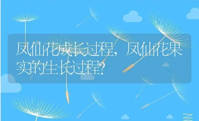 凤仙花成长过程,凤仙花果实的生长过程？ | 养殖科普
