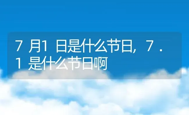 7月1日是什么节日,7.1是什么节日啊 | 养殖学堂