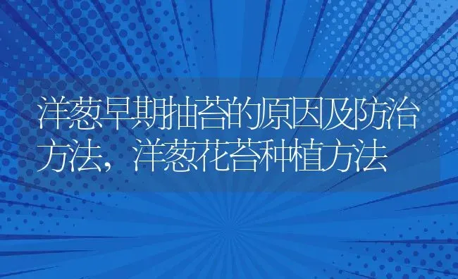 洋葱早期抽苔的原因及防治方法,洋葱花苔种植方法 | 养殖学堂