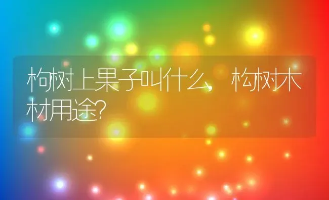 枸树上果子叫什么,构树木材用途？ | 养殖科普