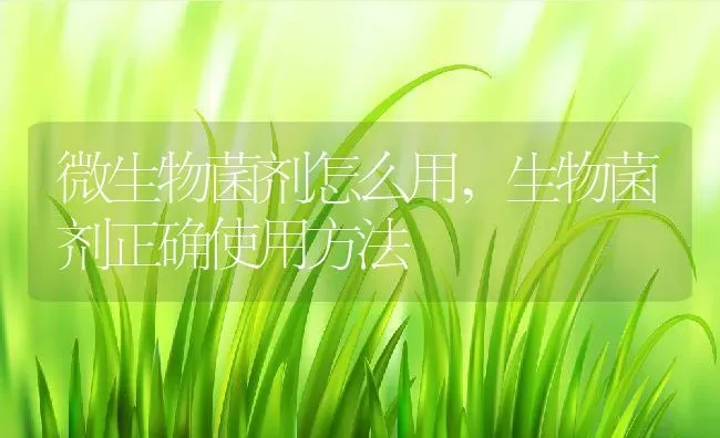 微生物菌剂怎么用,生物菌剂正确使用方法 | 养殖学堂