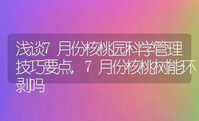 浅谈7月份核桃园科学管理技巧要点,7月份核桃树能环剥吗 | 养殖学堂