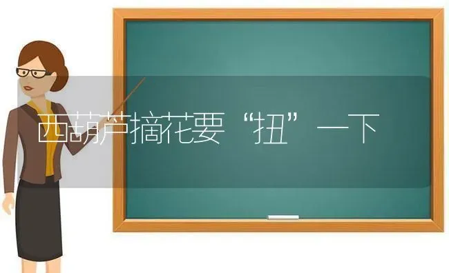西葫芦摘花要“扭”一下 | 养殖知识