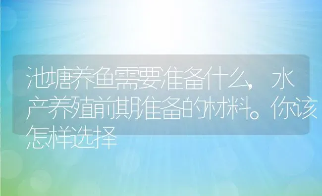 池塘养鱼需要准备什么,水产养殖前期准备的材料。你该怎样选择 | 养殖学堂