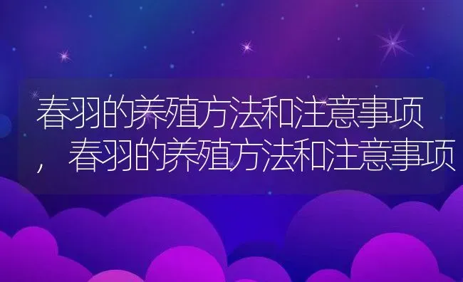 春羽的养殖方法和注意事项,春羽的养殖方法和注意事项 | 养殖科普
