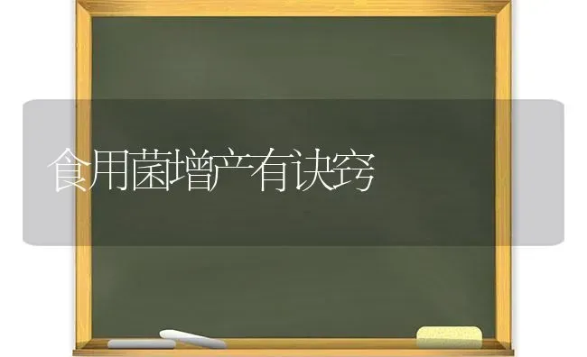 食用菌增产有诀窍 | 养殖技术大全