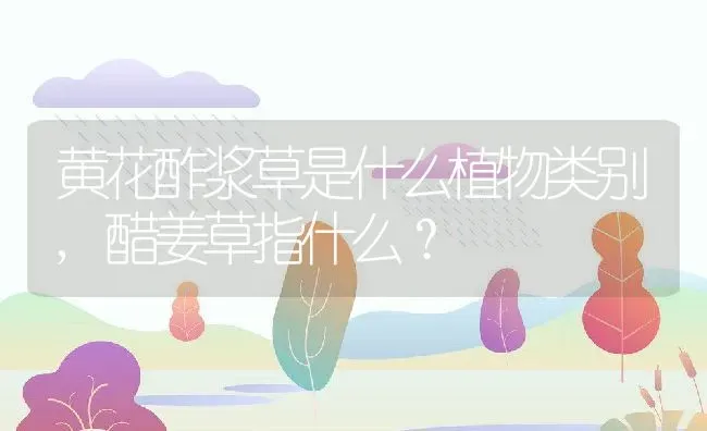 黄花酢浆草是什么植物类别,醋姜草指什么？ | 养殖科普