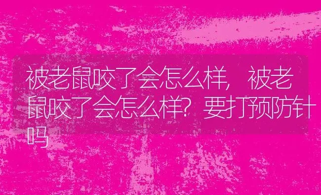 被老鼠咬了会怎么样,被老鼠咬了会怎么样?要打预防针吗 | 养殖资料