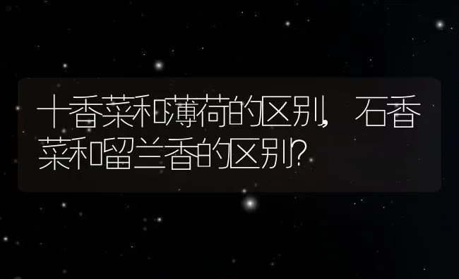 黑松露是什么,松露是什么东西？ | 养殖科普