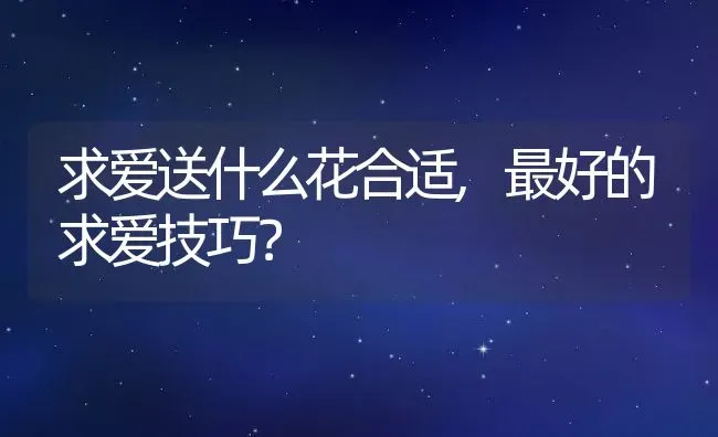 求爱送什么花合适,最好的求爱技巧？ | 养殖科普