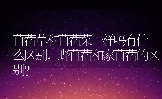 苜蓿草和苜蓿菜一样吗有什么区别,野苜蓿和家苜蓿的区别？ | 养殖科普
