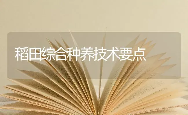 稻田综合种养技术要点 | 养殖技术大全